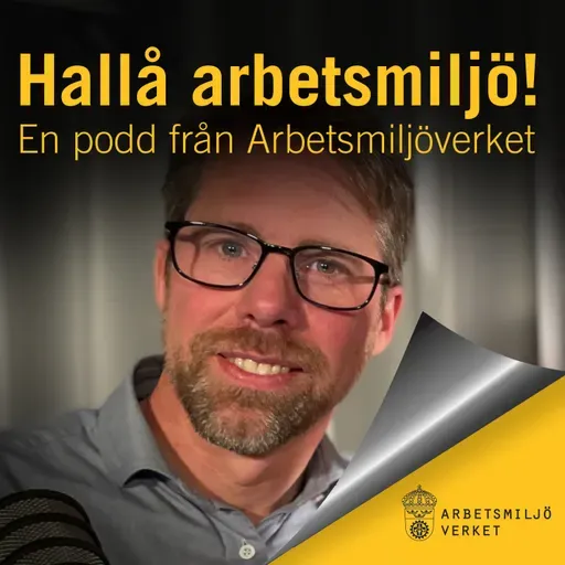 Hallå arbetsmiljö! #25 Bildskärmsarbete