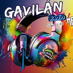 Gavilán Radio MF 53 a la 40