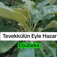 Mevla İle Eyle Pazar