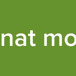 Senat mobil