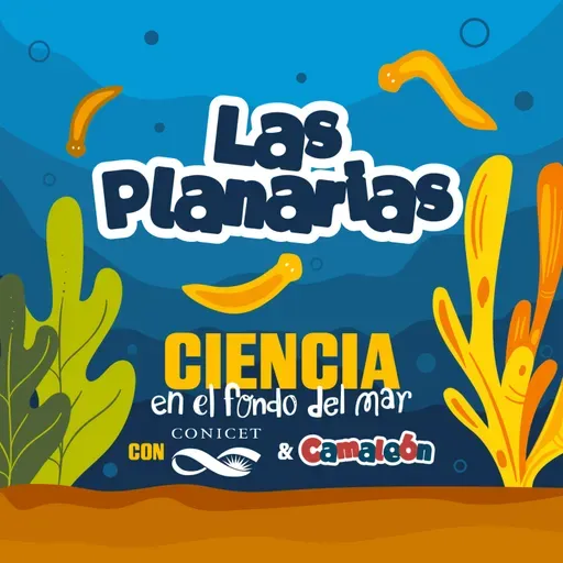 Planarias: El animal que puede reconstruir su cerebro