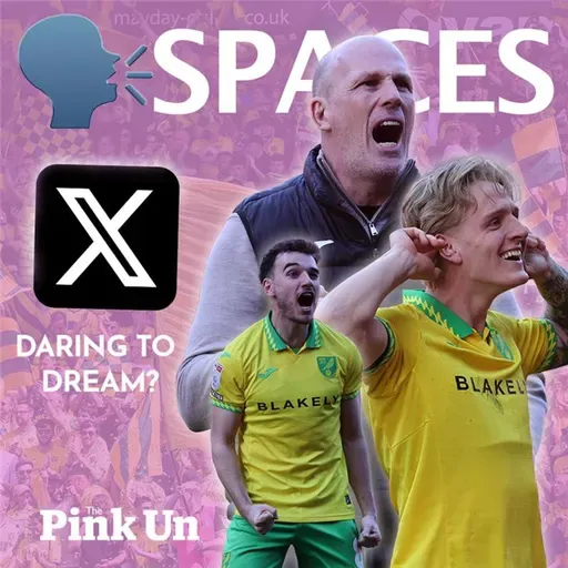 #6 Daring to dream? | The Pink Un X Spaces