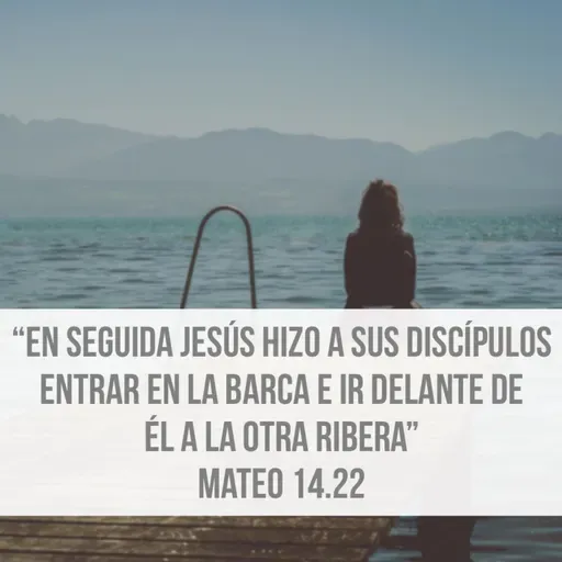 Reflexiones (Episodio 03) - ¿Dios está en control de nuestro sufrimiento? [Mateo 14.22-27]