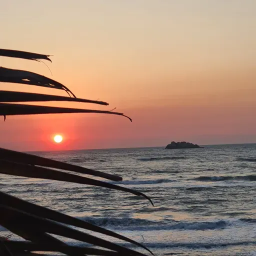 19 DE MAYO, DÍA DEL MÉDICO FAMILIAR.