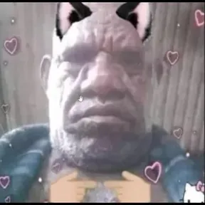 XUPA ZORRAAA