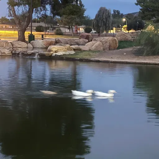 Friendships and Genuine connections