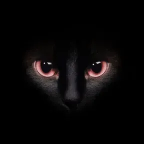 Radio-Darkness