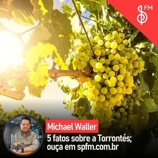 Michael Waller | 5 fatos sobre a Torrontés!