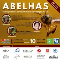 Abelhas - Sua importância para a qualidade e manutenção da vida