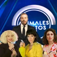 #AnimalesEnvueltos | Cap 21