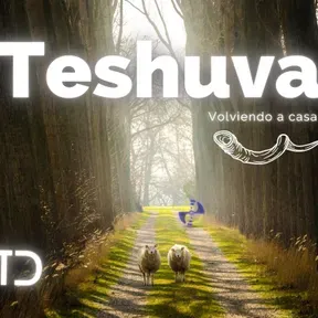ensupunto 2.0