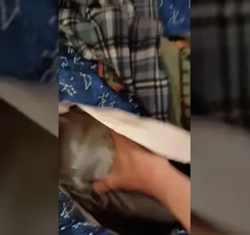 UZI PLUSHIE ACQUIRED!!!