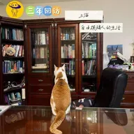 三年回访：上海｜自由撰稿人的生活