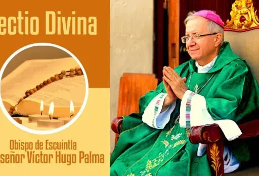 Lectio Divina 11 junio 2022
