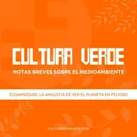 026 Ecoansiedad. La angustia de ver el planeta en peligro | Cultura verde