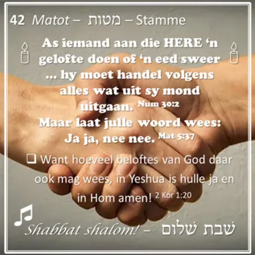 Parashat Matot