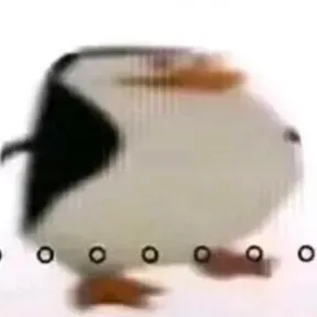MadDogK