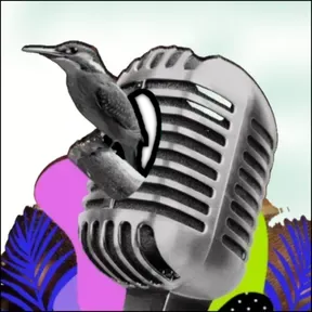 Radio La Rubita FM 100.5