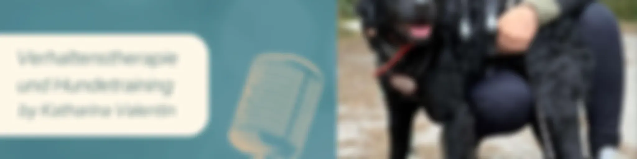 JoyDogs Hundetraining - Training mit Herz und Verstand