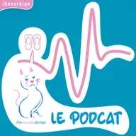 Un jeudi du mois d'août