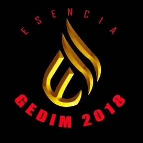 GEDIM-ESENCIA