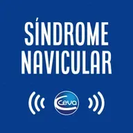 Síndrome Navicular #01 Você sabe como prevenir?