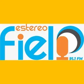 stereo fiel