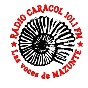 RADIO CARACOL 101.1FM