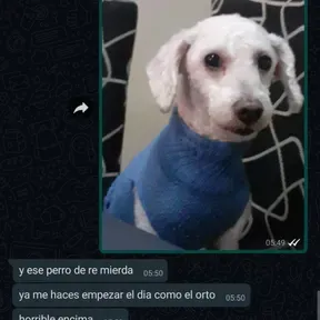 Tito el primo