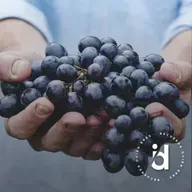 Caminos de sanación 3. El sufrimiento redentor