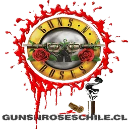 Guns N Roses Fans