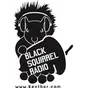 Black Squirrel Radio