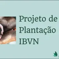 PROJETO DE PLANTAÇÃO IBVN
