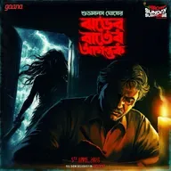 ঝড়ের রাতের আগন্তুক