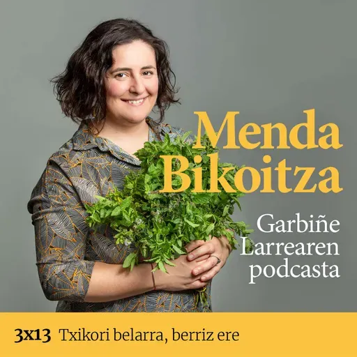 Menda Bikoitza 3x13: Txikori belarra, berriz ere