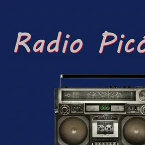 radio picon