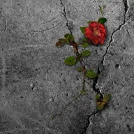 Special: Host Chiara und Protagonisten beim Podcast Event aus Ulm