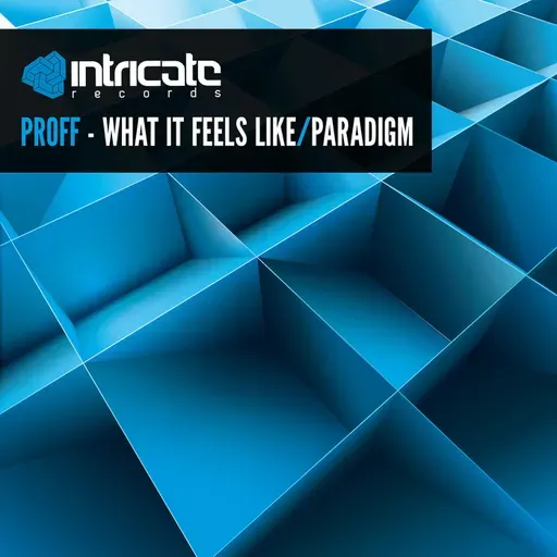 PROFF - Paradigm