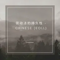 诚信银行第二部分——佛罗里达州朱庇特市银行倒闭案——第438集