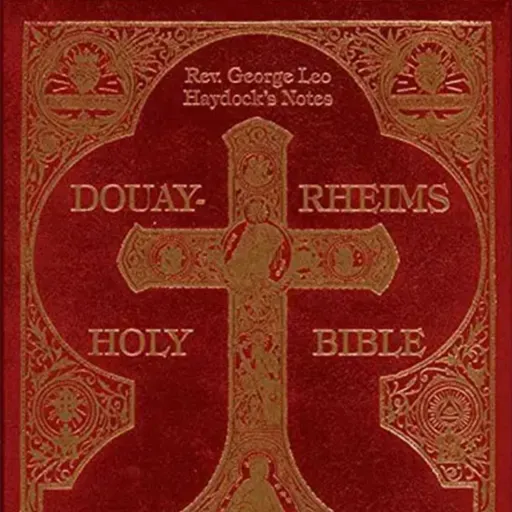 Commentary on the Daily Mass Readings: Wed, Oct 29