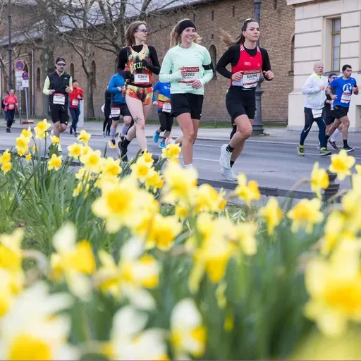 Halbmarathon in der Hauptstadt: Rekordbeteiligung erwartet