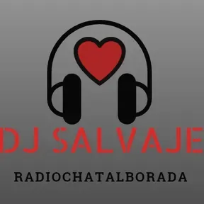 Dj Salvaje