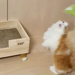 SCA Radio Alternative