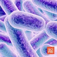 How Do Bacteria Talk To Each Other?