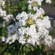 Estação Espírita 57