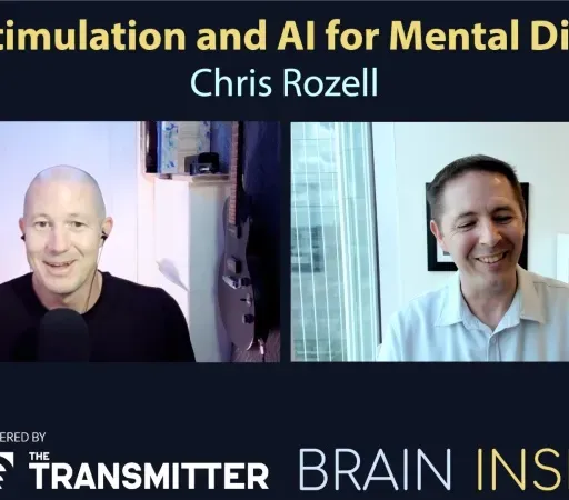 BI 218 Chris Rozell: Brain Stimulation and AI for Mental Disorders