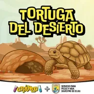 Tortuga del Desierto: sobrevivir en el desierto más caliente de América