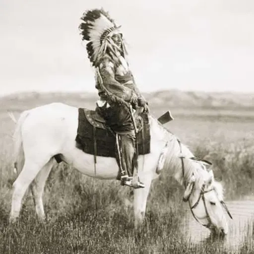 Ep 233 - The need to question everything - All Growth and empowerment is a result of deep thought and ability to control the Ego