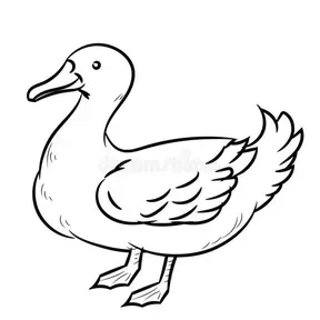 AZILOPER