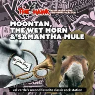 Moontan, The Wet Horn and Samantha Mule